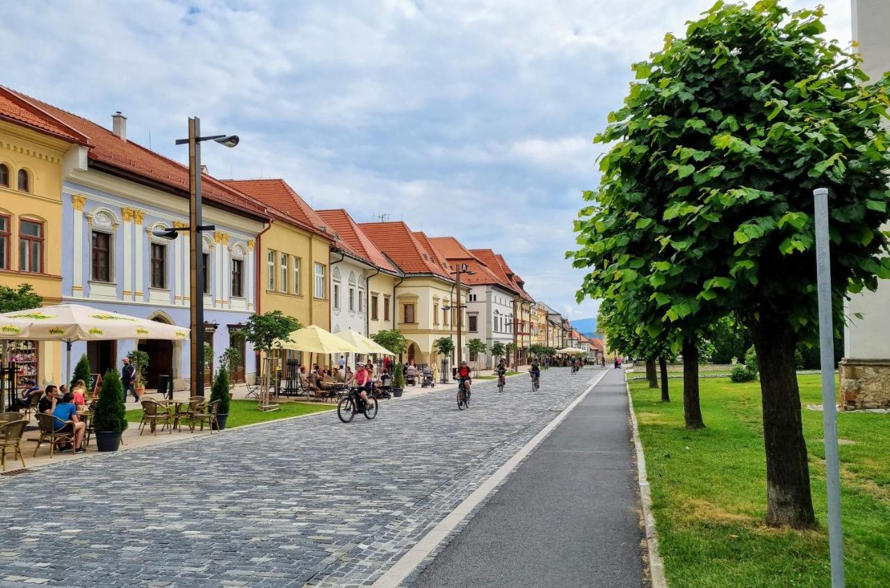 Ferienwohnung Historical House In The Center Levoca With Parking Exterior foto